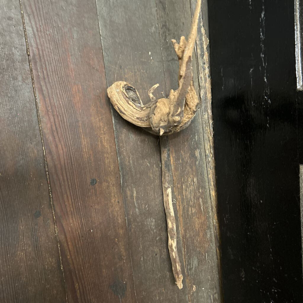 DRIFT WOOD
