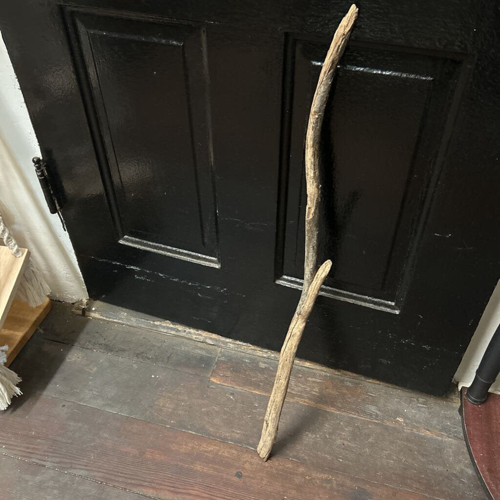 DRIFT WOOD