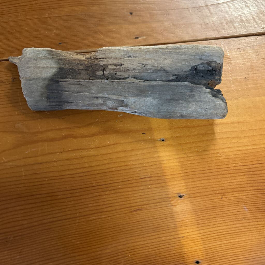DRIFT WOOD