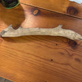 DRIFT WOOD