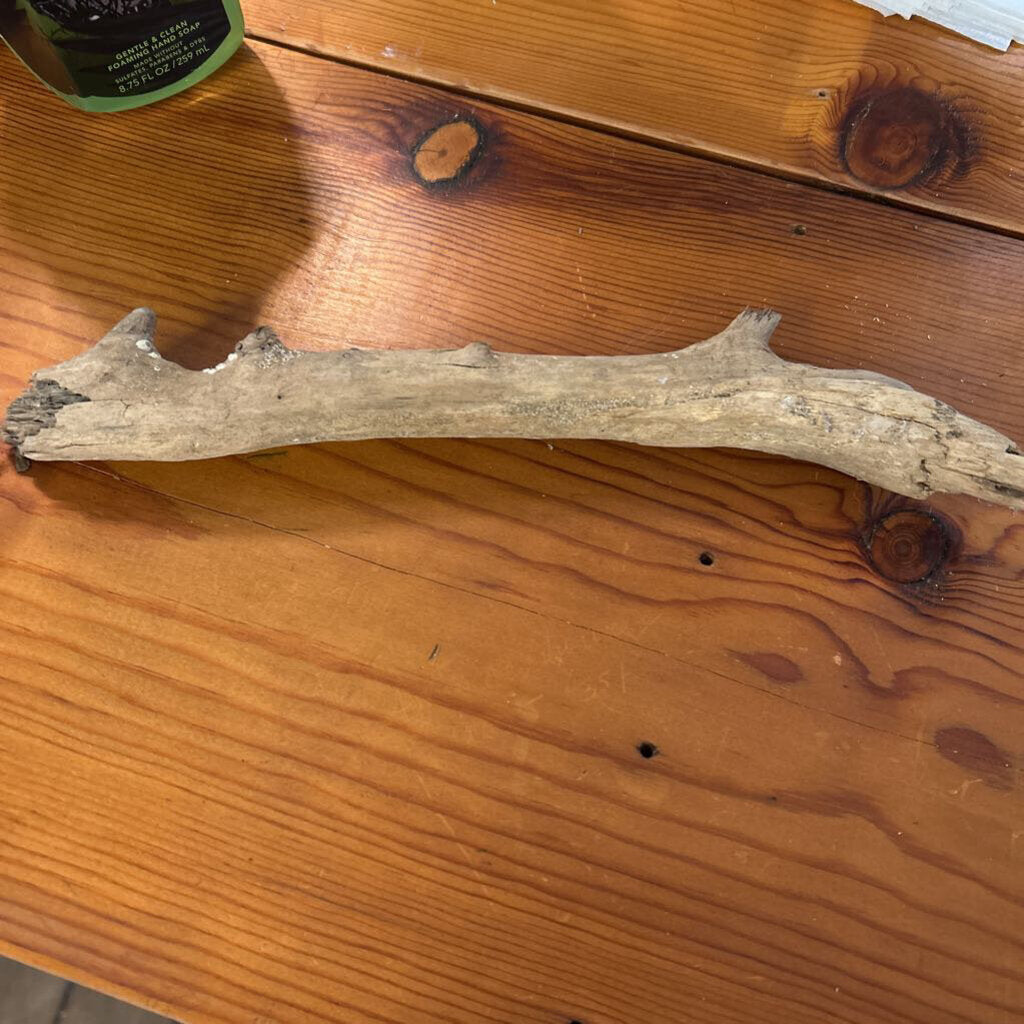 DRIFT WOOD
