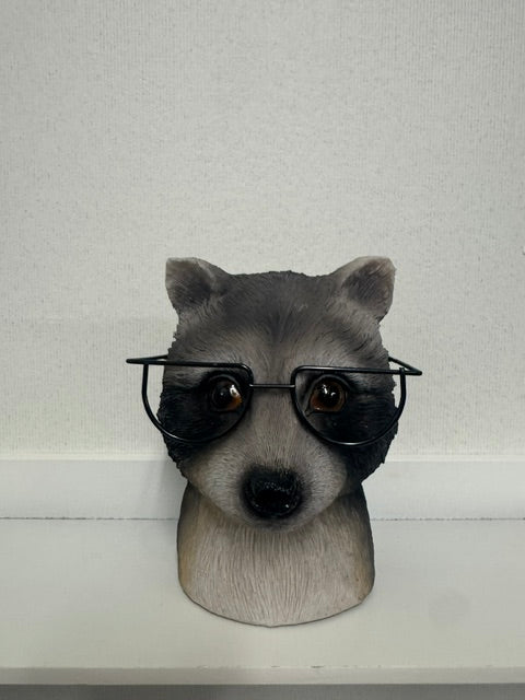 RACOON WITH GLASSES