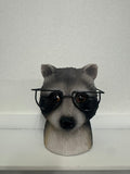 RACOON WITH GLASSES