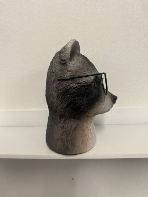 RACOON WITH GLASSES